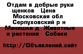 Отдам в добрые руки щенков › Цена ­ 1 - Московская обл., Серпуховский р-н, Манишки д. Животные и растения » Собаки   